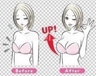 一に健康、二に美容